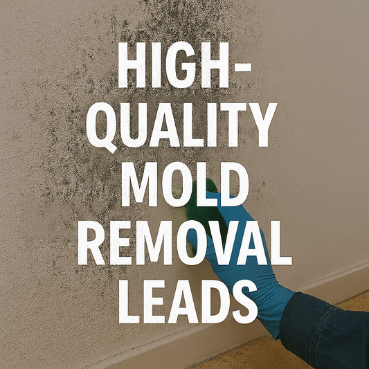 Affordable Mold Removal Leads That Actually Convert (Complete Lead Funnel)